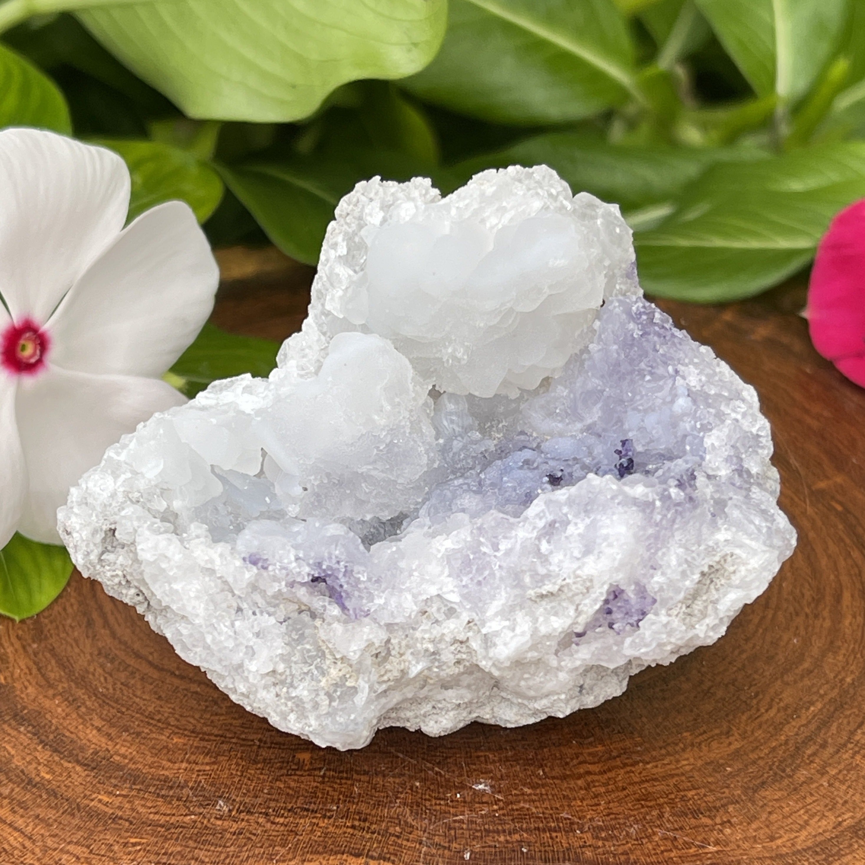 Spirit-Flower-Geode-SPQ17