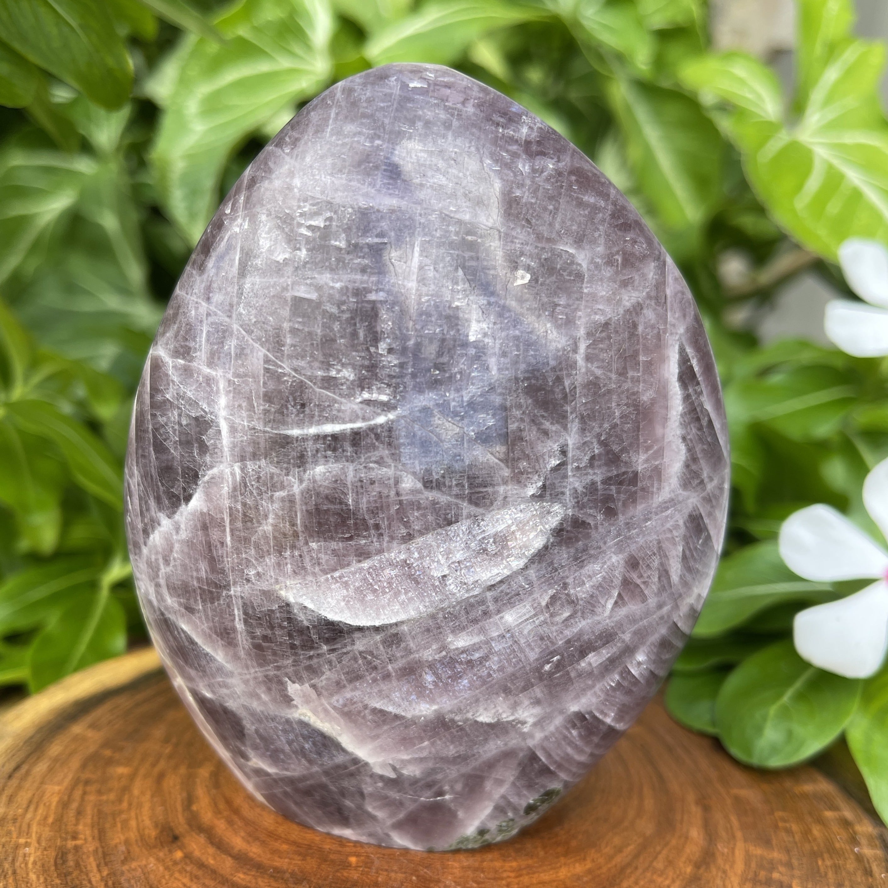Purple Anhydrite Crystal Rare Purple / Violet Color 577g. | Ascension Stone