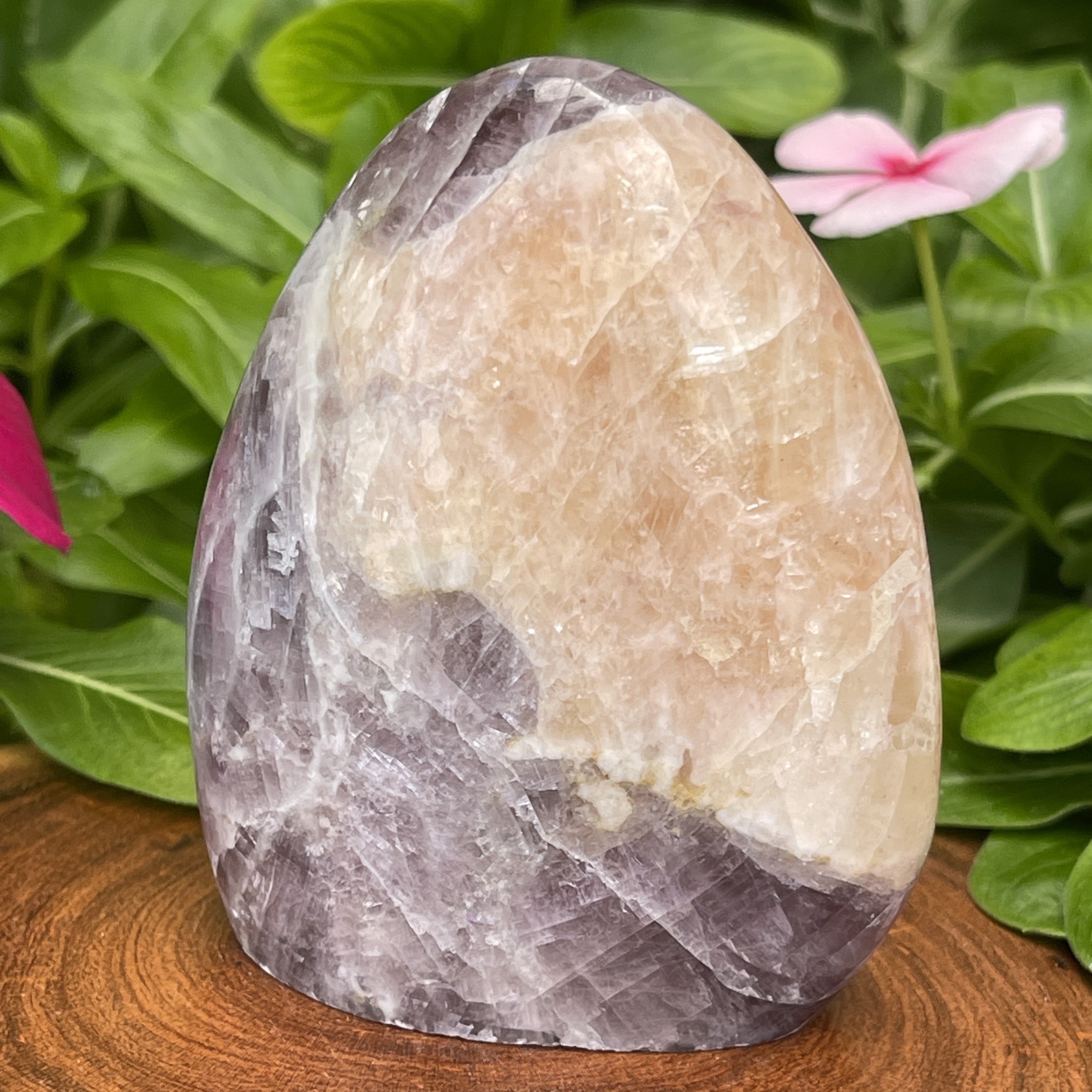 Purple-Peach-Anhydrite-AN5