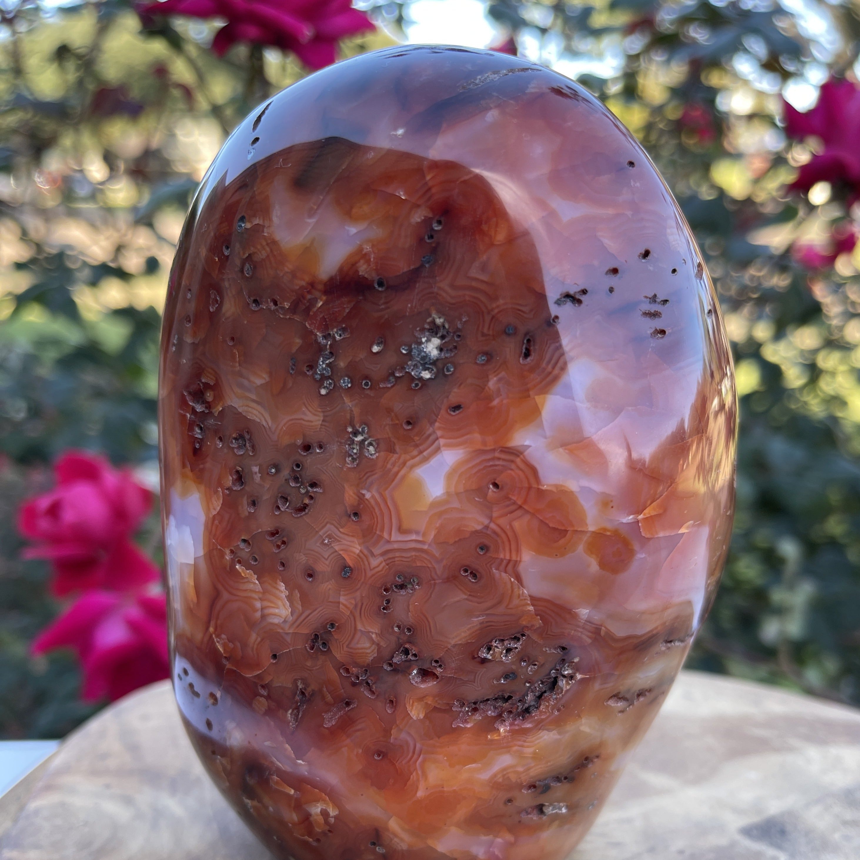 Carnelian Crystal Standing | Crystal Decor' | 2.72lbs