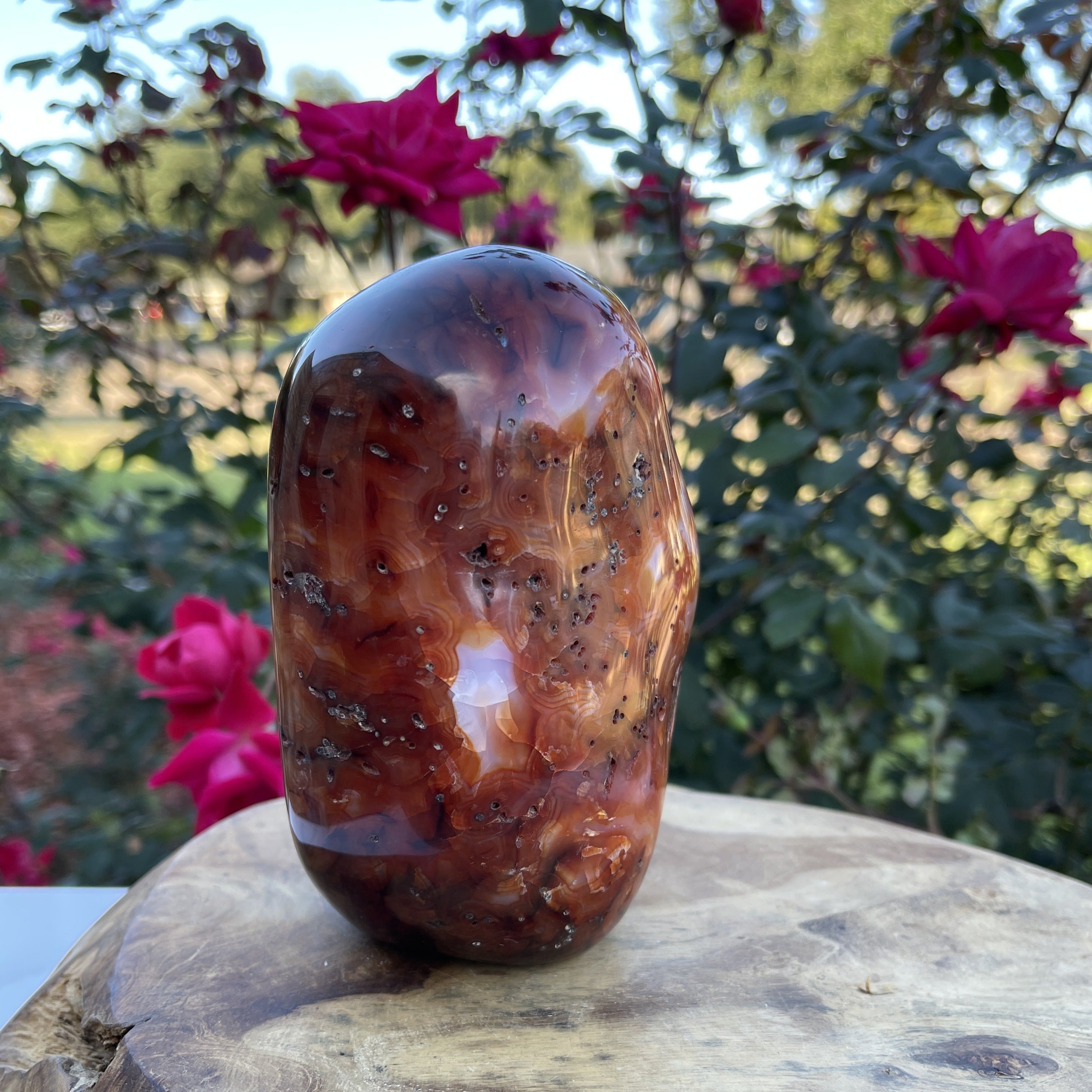 Carnelian Crystal Standing | Crystal Decor' | 2.72lbs