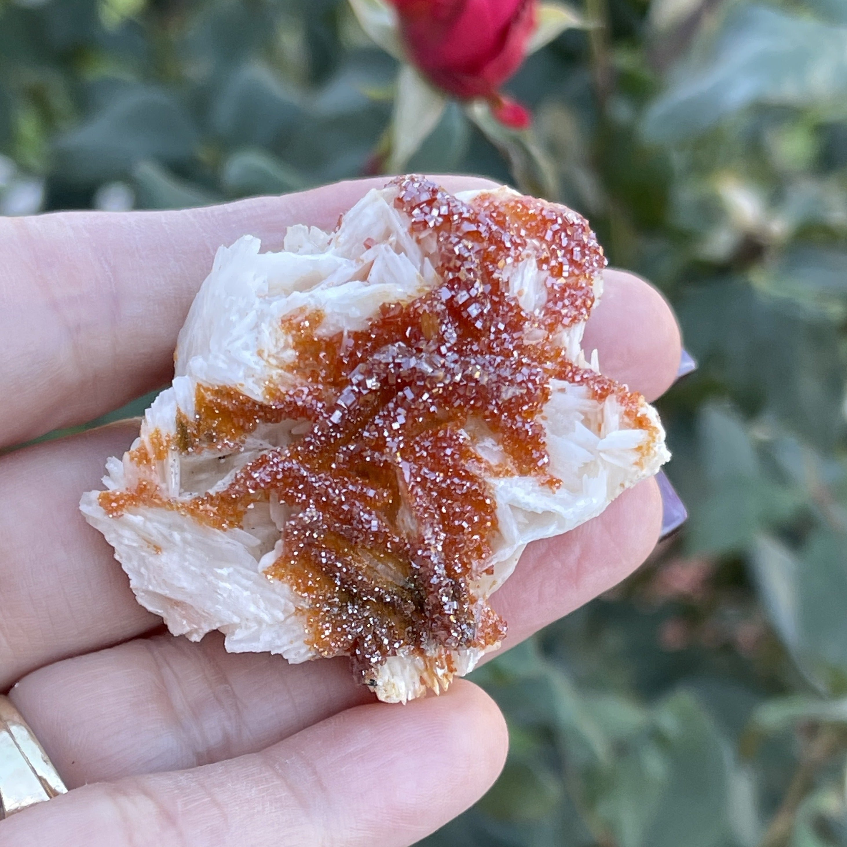 Vanadinite on White Barite Crystal Cluster 57grams