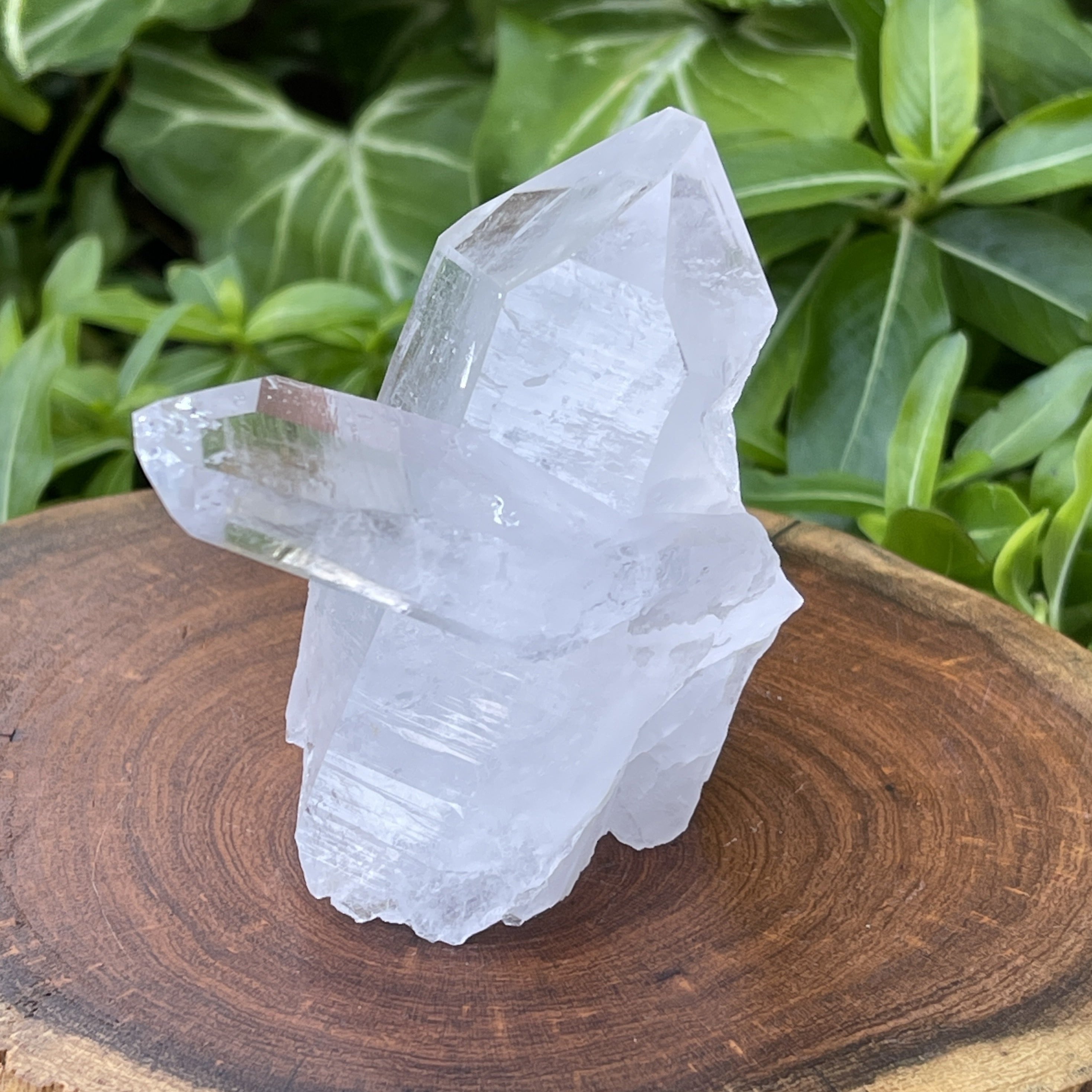 Arkansas Quartz Crystal Cluster with Tabular Crystal 242g.