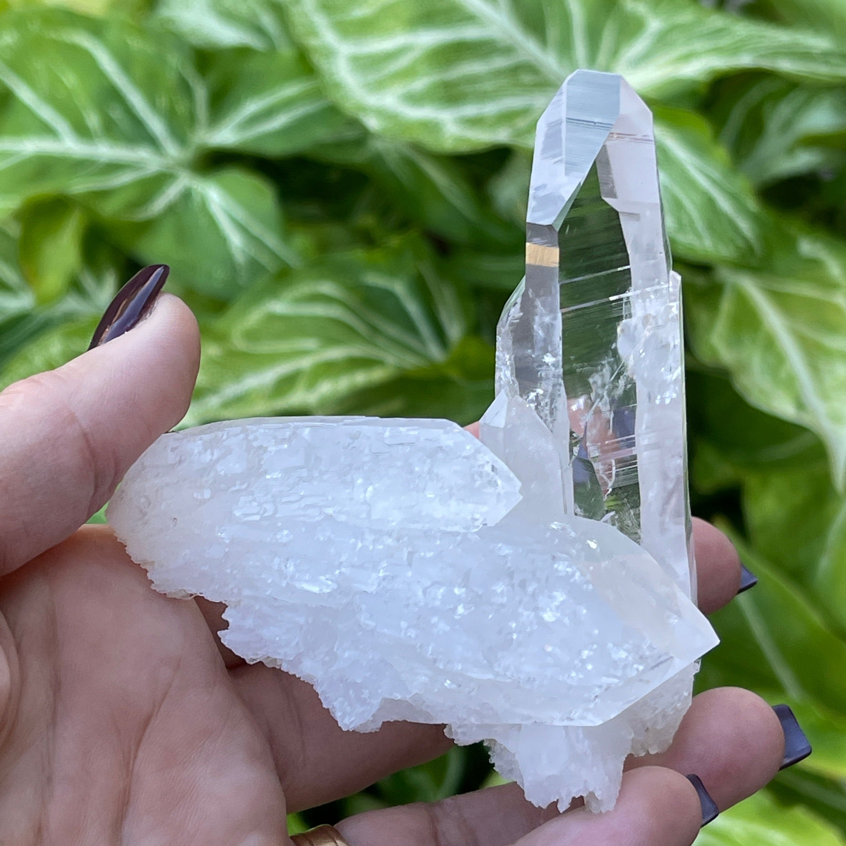 Colombian Quartz Pena Blanca 138gram | Water Clarity A+ Quality | Lemurian Cluster