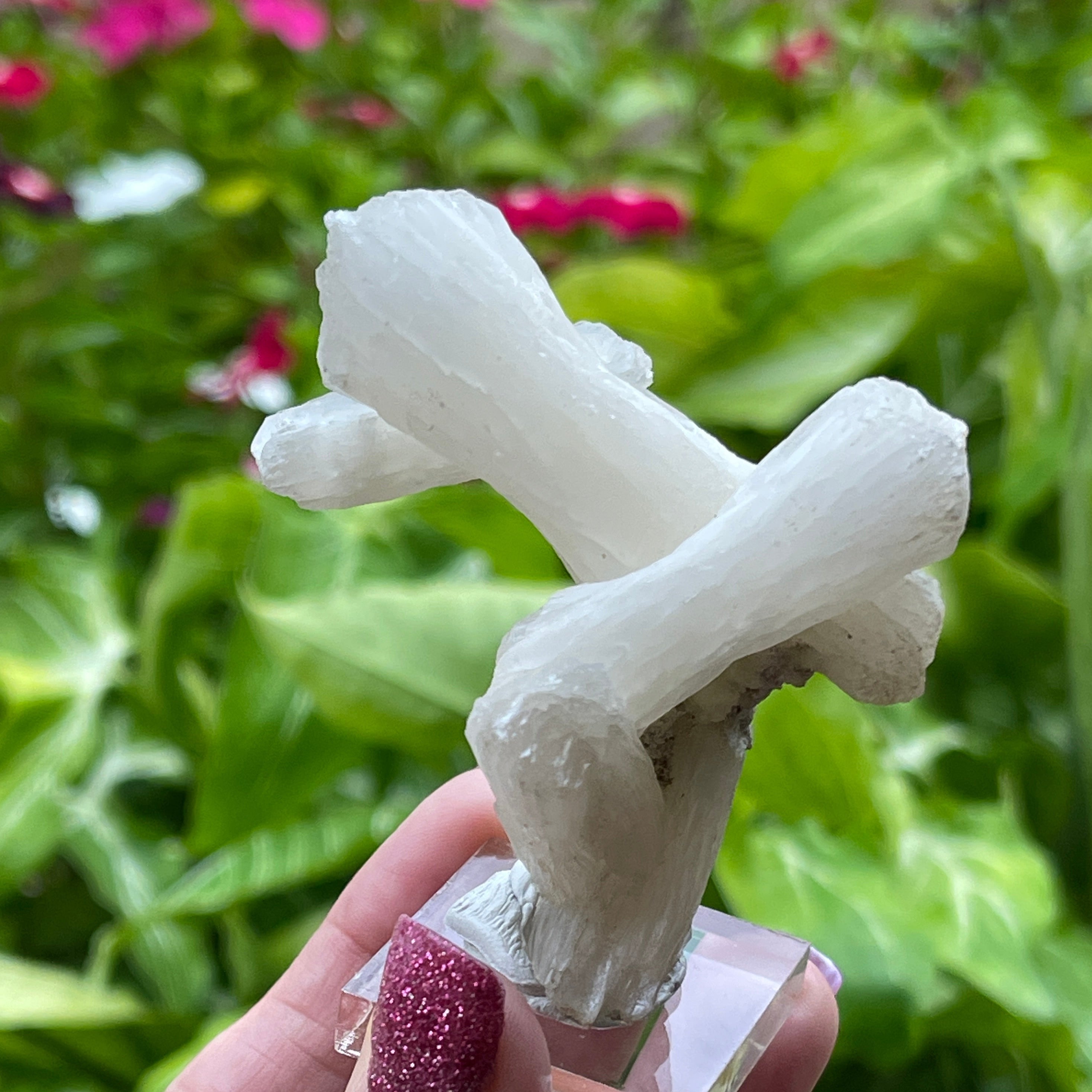 White Pearly Stilbite Sheaf-like formation- Crystal - Zeolite Crystals