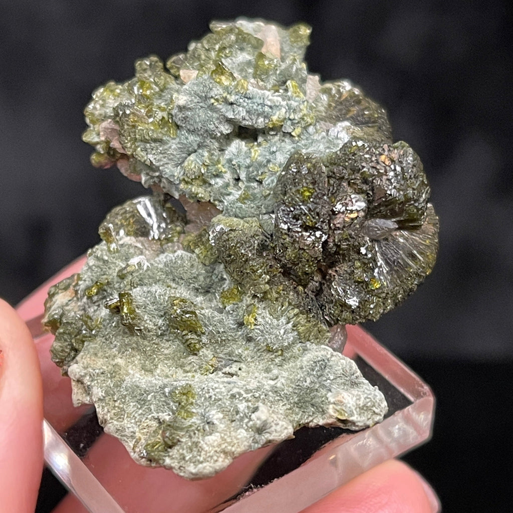 Epidote with Quartz Crystal cluster shown on base in hand.