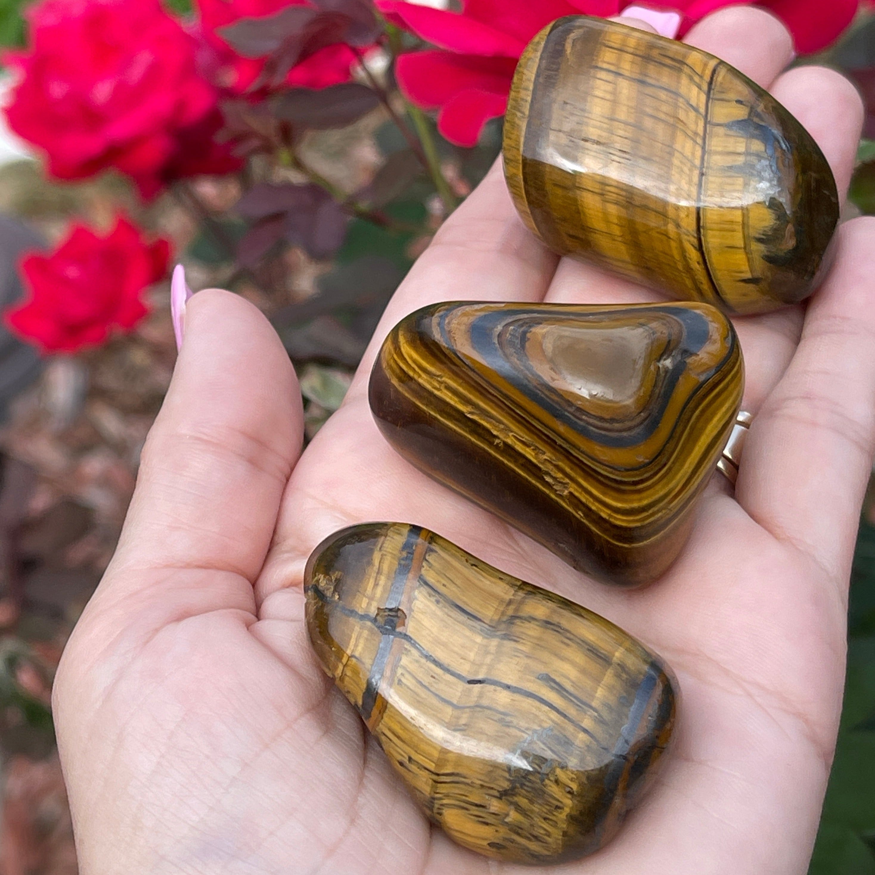 High quality polished Tigers Eye stones
