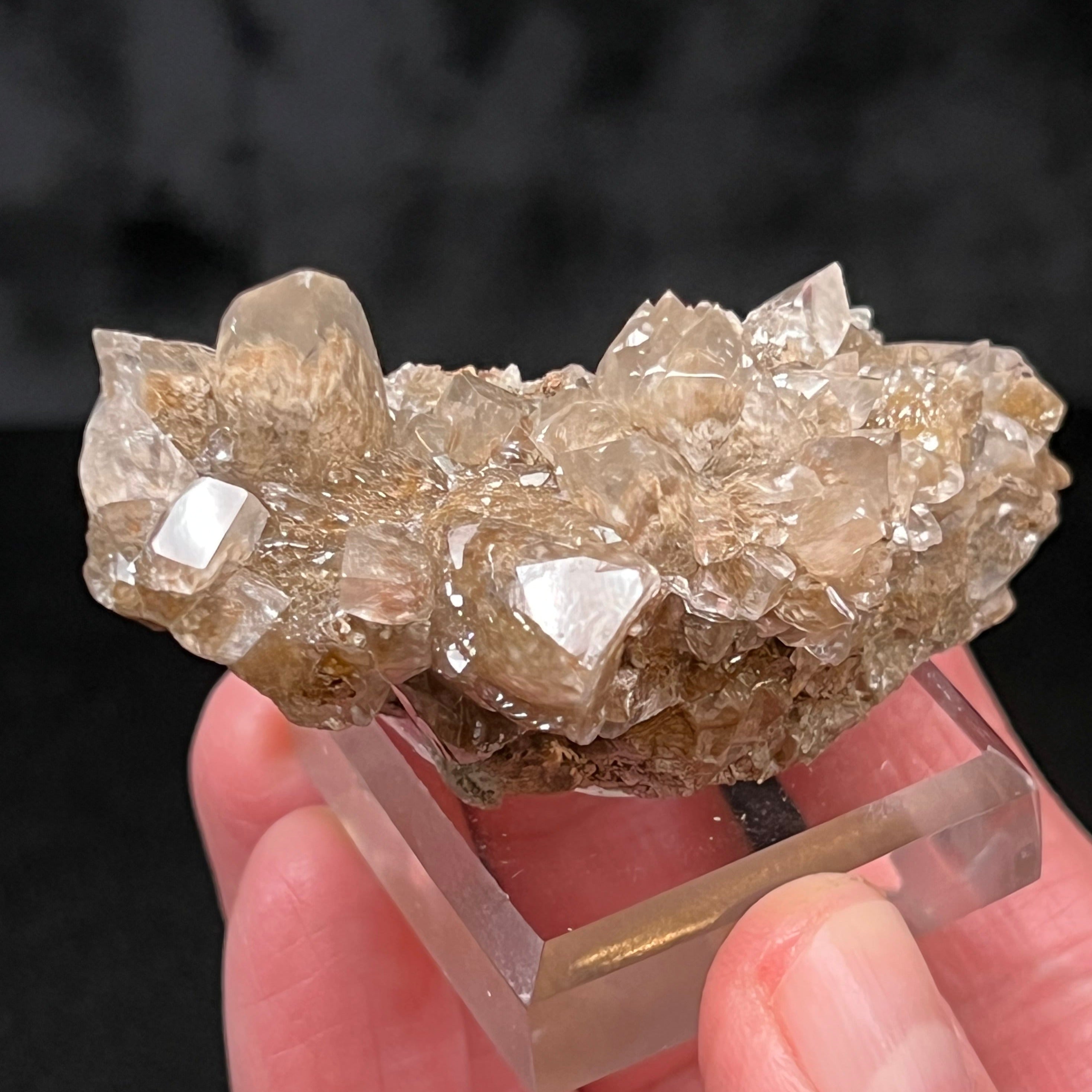 Not many specimens like this one. This is a less common, exceptional, lustrous, water clear translucent Calcite specimen from Medford Quarry, Maryland, with Manganese bearing Todorokite inclusions that give the crystals an exotic appearance.