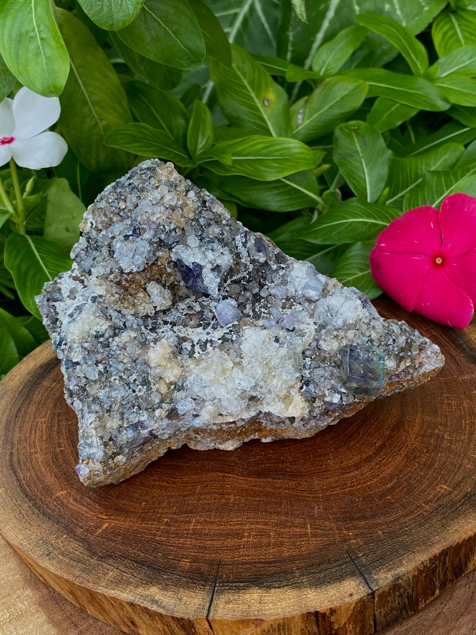 Gemmy Diana Maria Fluorite Cluster | Natural Fluorescence | 435g