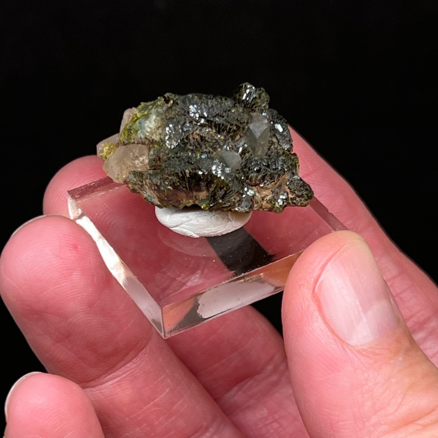 This specimen exhibits contrasting deep, dark green, very lustrous Epidote with terminated, some etched, Quartz crystals.