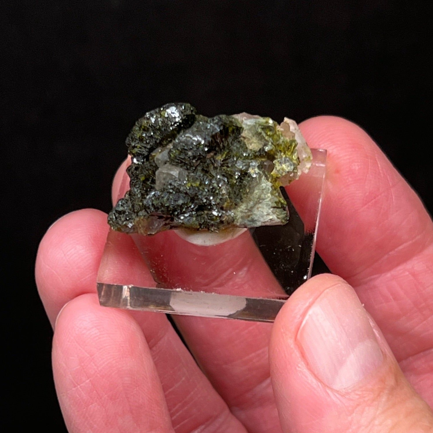 Some lighter green Epidote crystals also present are evident near the base or underside of this specimen.