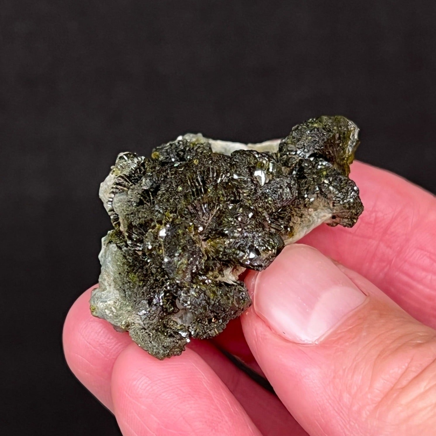 The Epidote crystals presenting in this specimen are very shiny, reflecting flashes of light as you move the cluster around to view it.