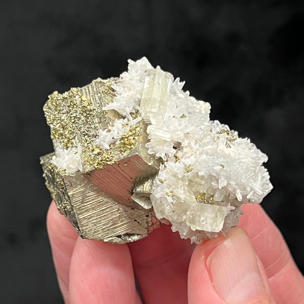 This is a beautiful example of shiny, hexagonal Fluorapatite crystals nestled amongst needle Quartz and perched on lustrous Pyrite that has brassy, golden Chalcopyrite growing on it. 