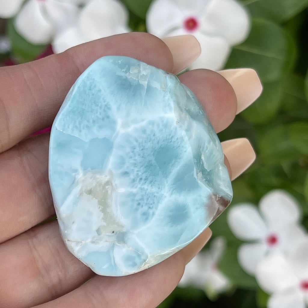Larimar Polished Slab | High Quality Dolphin Stone - Calming Healing Crystal
