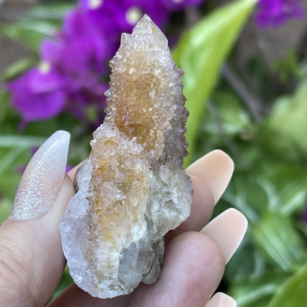 Ametrine Spirit Cactus Quartz  Crystals | 40grams Amethyst Spirit Point