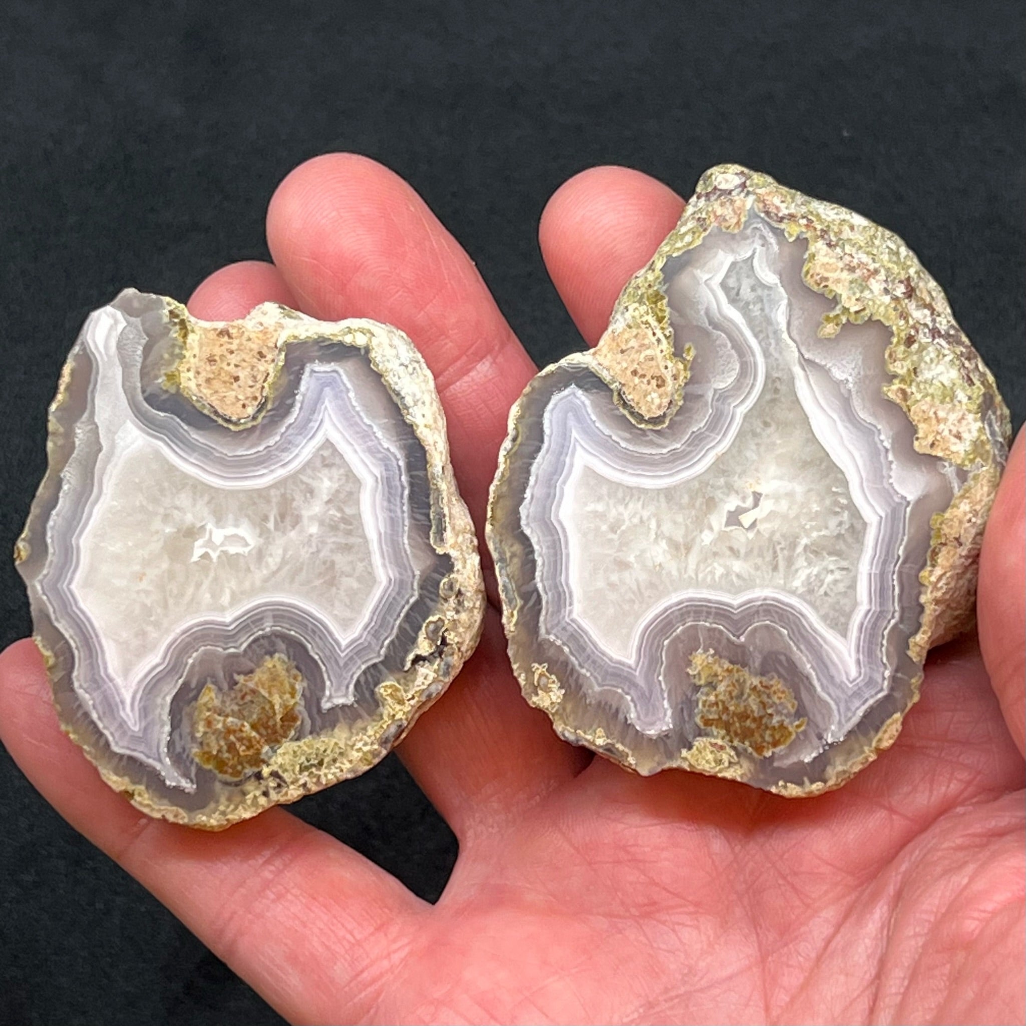 This superb Laguna Agate pair of specimen will be a truly great addition to any collection! The source for this Laguna Agate pair is Estacion Ojo Laguna, Ahumada Municipality, Chihuahua, Mexico.