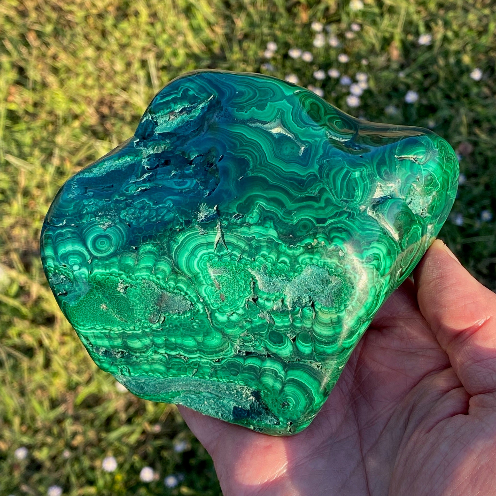 Exceptional Large Malachite High Quality Deep Green Color Banding Eyes 964 grams