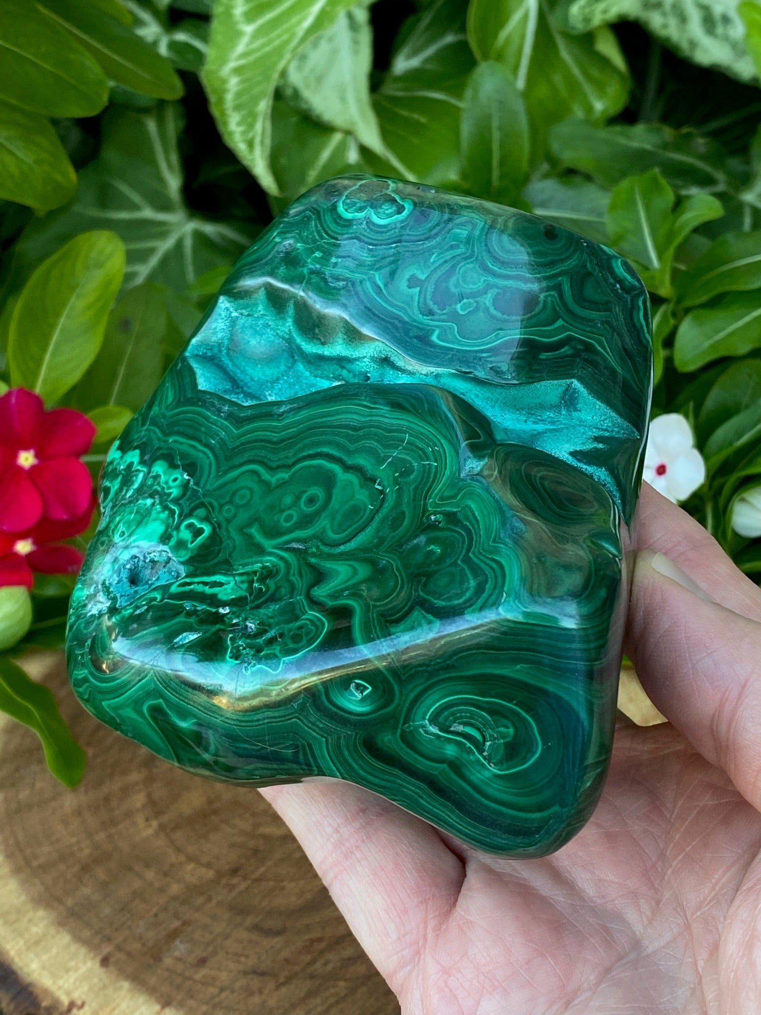 Exceptional Large Malachite High Quality Deep Green Color Banding Eyes 964 grams