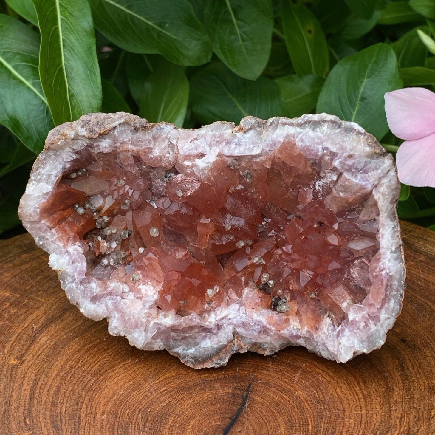 Pink Amethyst Crystal Geode with Hematite 81 grams