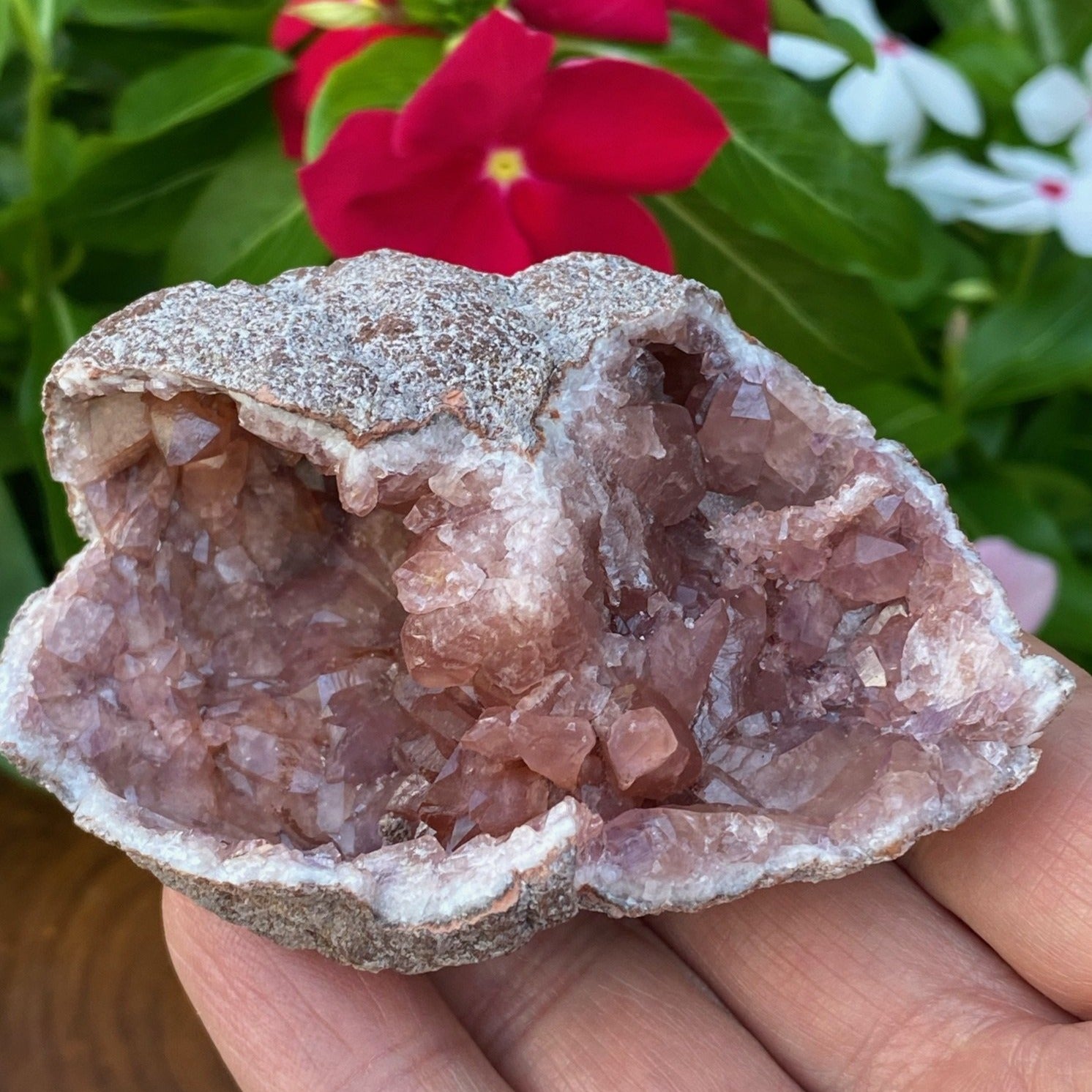This is a truly unique double chambered Pink Amethyst specimen that presents as if two geodes grew together.
