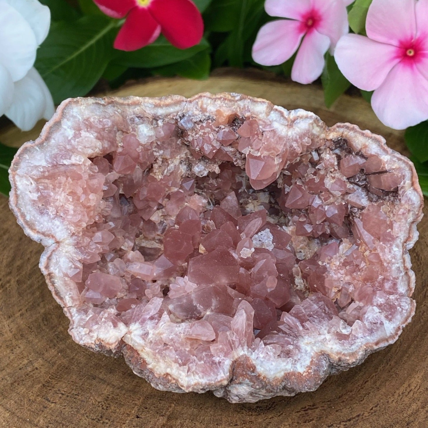 Specializing in the highest quality Pink Amethyst Crystal Geodes available. A nice cluster of crystals and dispersion of white druzy quartz secondary growth.