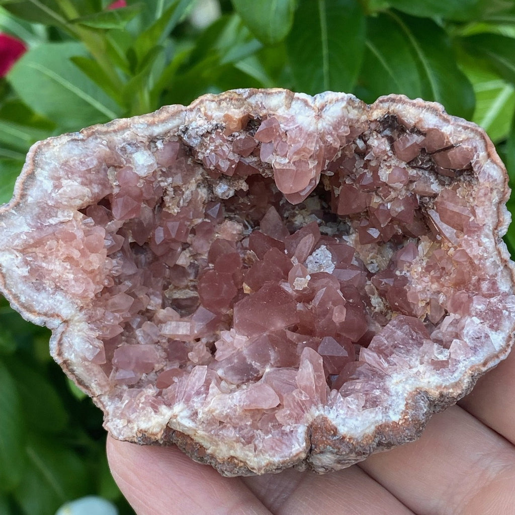 The darker Pink Amethyst crystals exhibited in this beautiful geode are representative of a higher quality specimen.  The source for this fine Pink Amethyst crystals geode is the El Chioque Mine, Pehuenches-Neuquen, Patagonia, Argentina