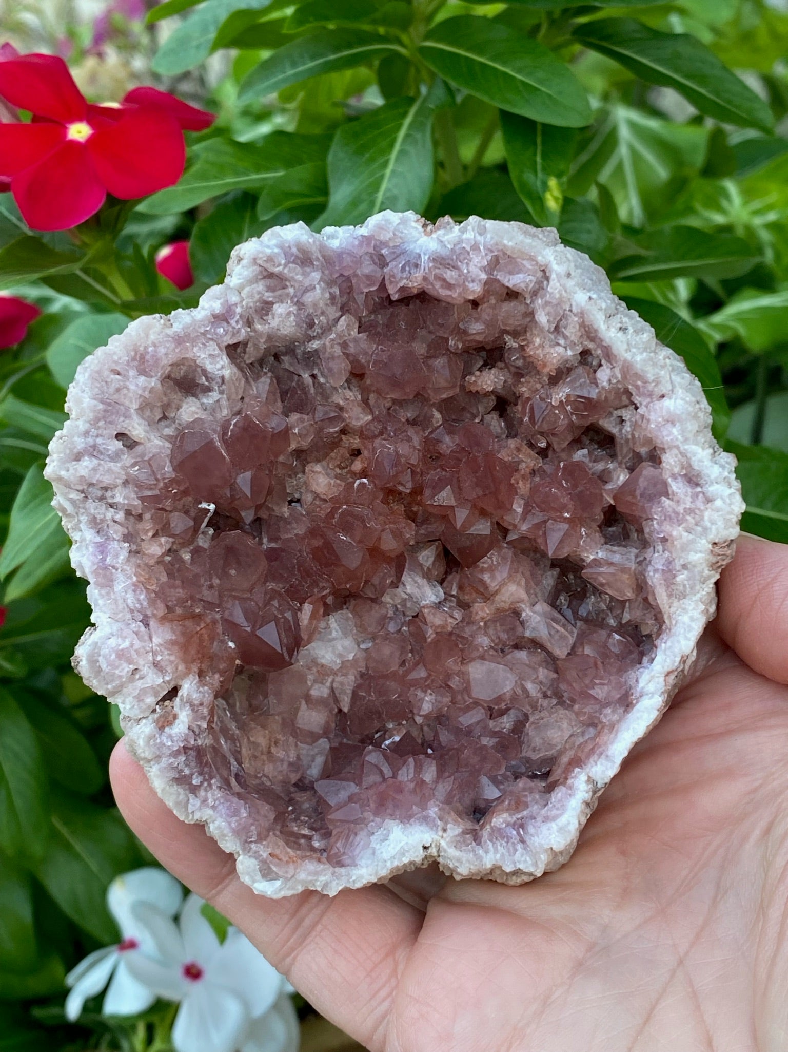 Pink Amethyst Crystal Geode Exceptional 242 grams