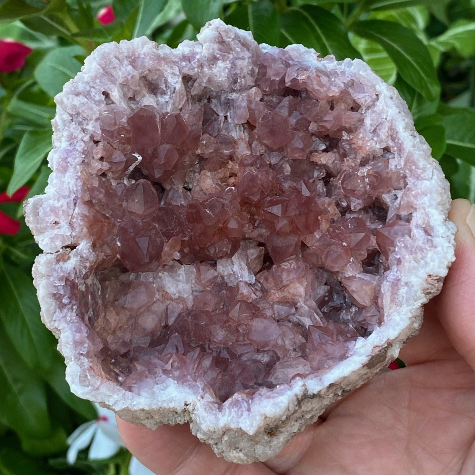 Pink Amethyst Crystal Geode Exceptional 242 grams