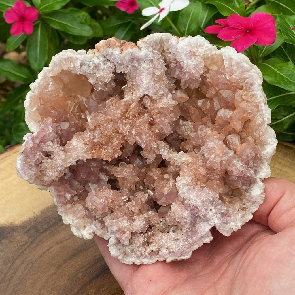 This fine specimen presents with prismatic Pink Amethyst crystals, unusual "bridge" formations, and near the edge and deeper in the pocket, double-terminated crystals with superb clarity!