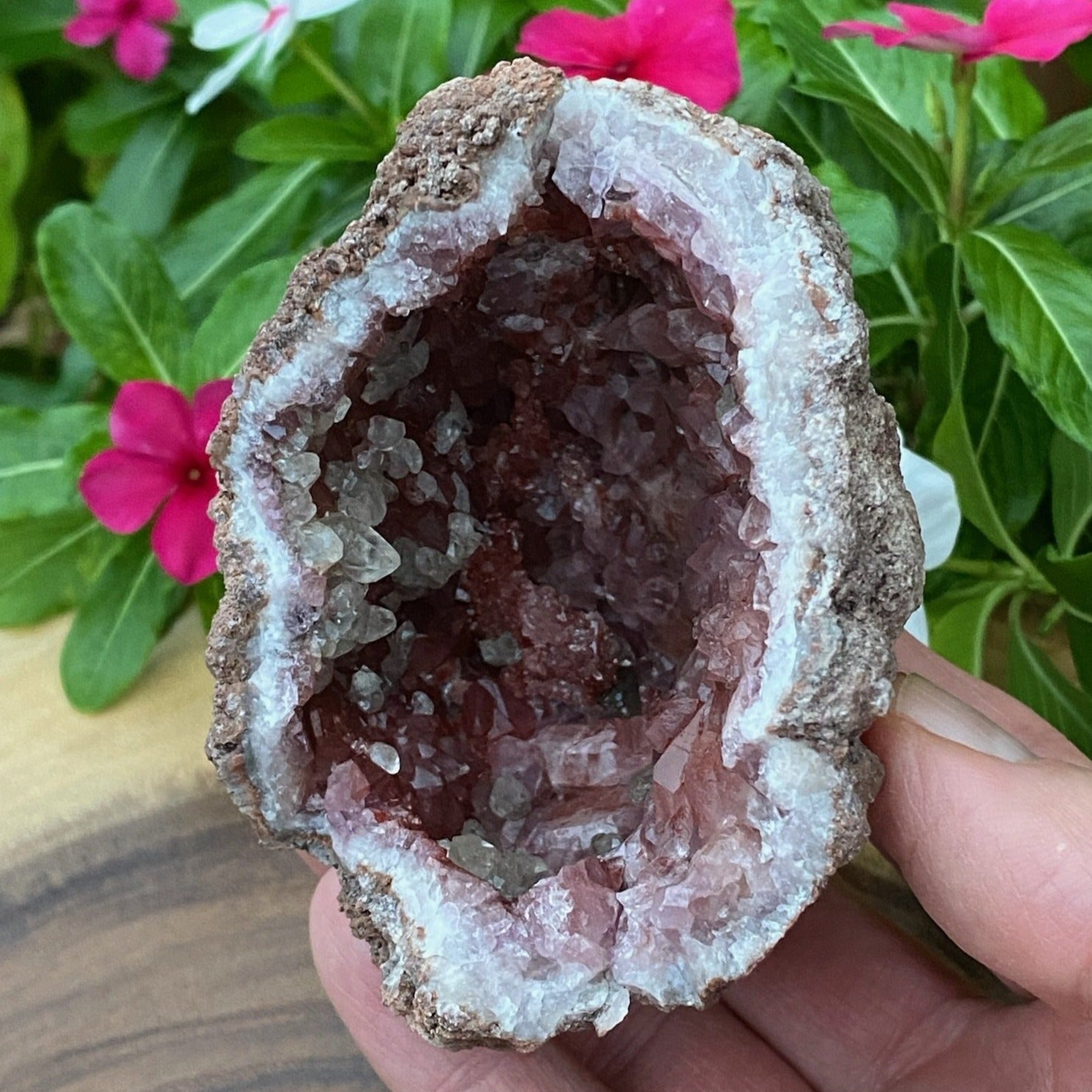 Beautiful, deep, dark Pink Amethyst crystals, are featured in this specimen, many of them almost red-pink crystals due to the intense infusion of hematite.
