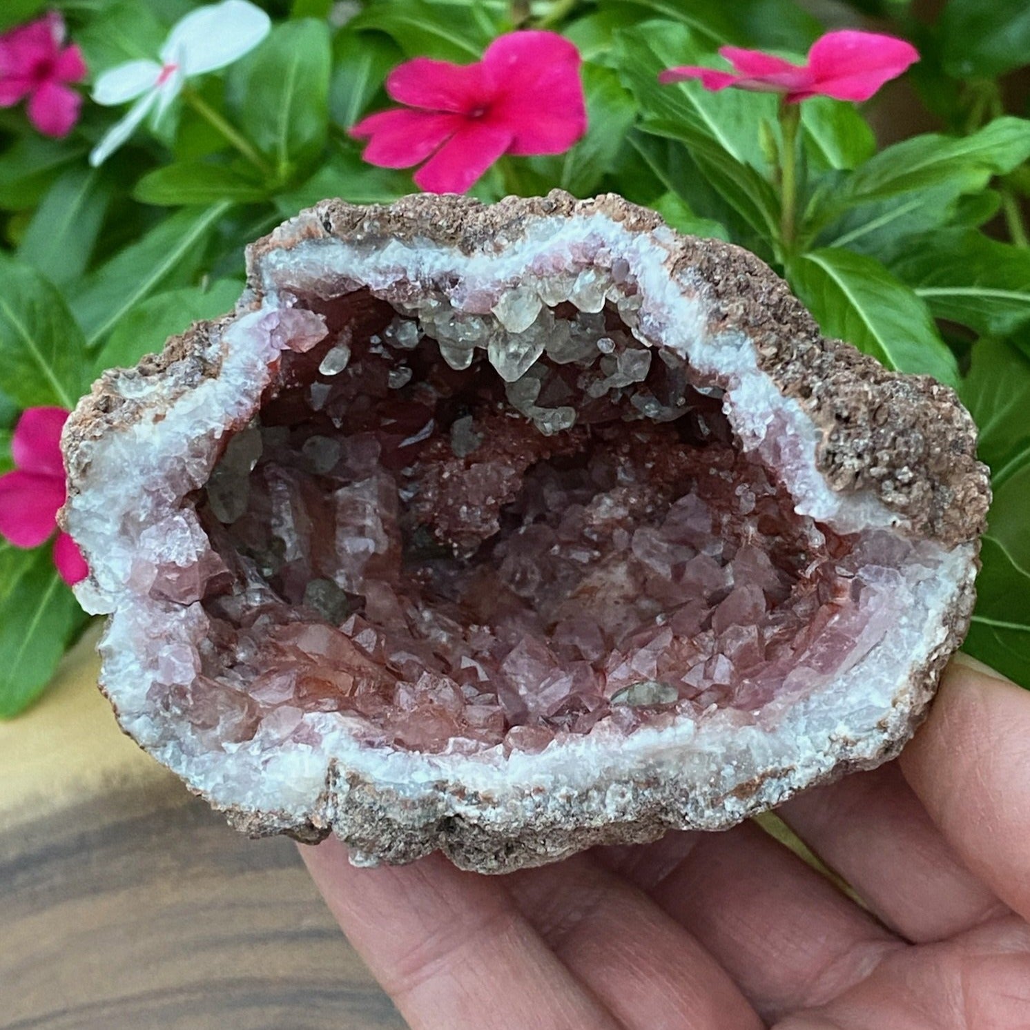 Exceptional depth to this excellent quality Pink Amethyst Crystals Geode. Nearly 3 inches deep!