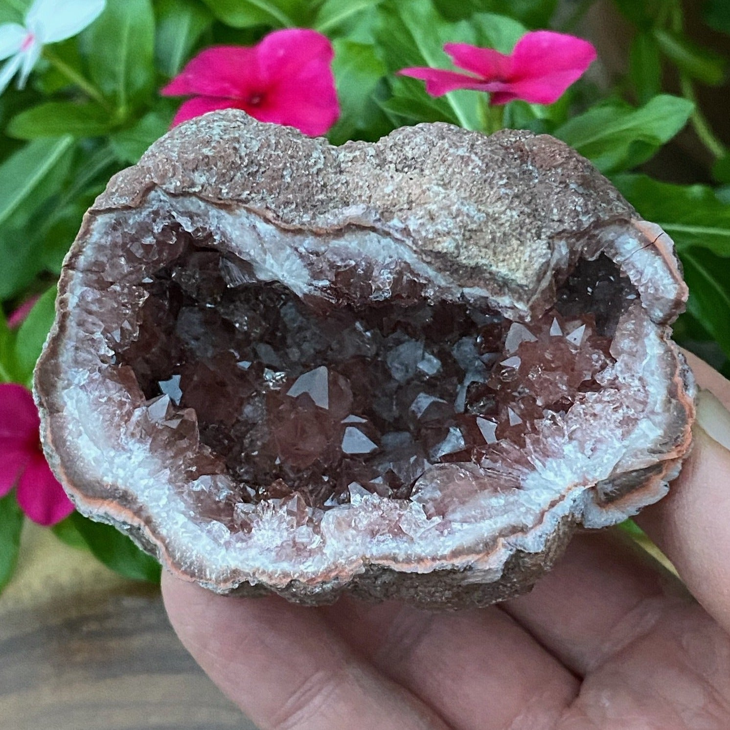 The extreme luster of this specimen is a true indicator of this being a superb, high quality Pink Amethyst Crystals Geode. The fascinating zoning of the sensationally well formed prismatic Pink Amethyst crystals deep in the pocket of this geode are some of the best we've seen!