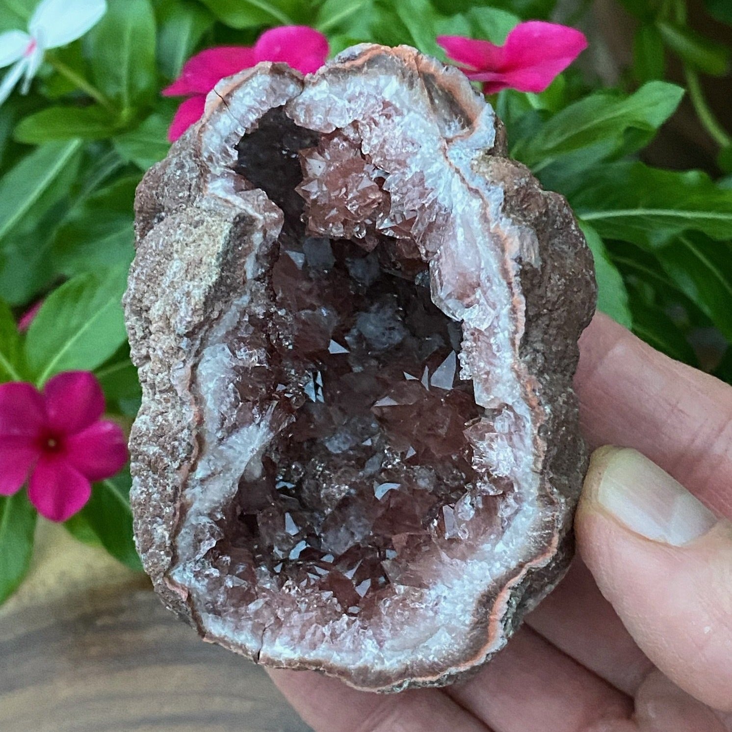 Not only are facets, faces and terminations of the Pink Amethyst crystals exceptional, the deep pink color is wonderfully rich and juicy.
