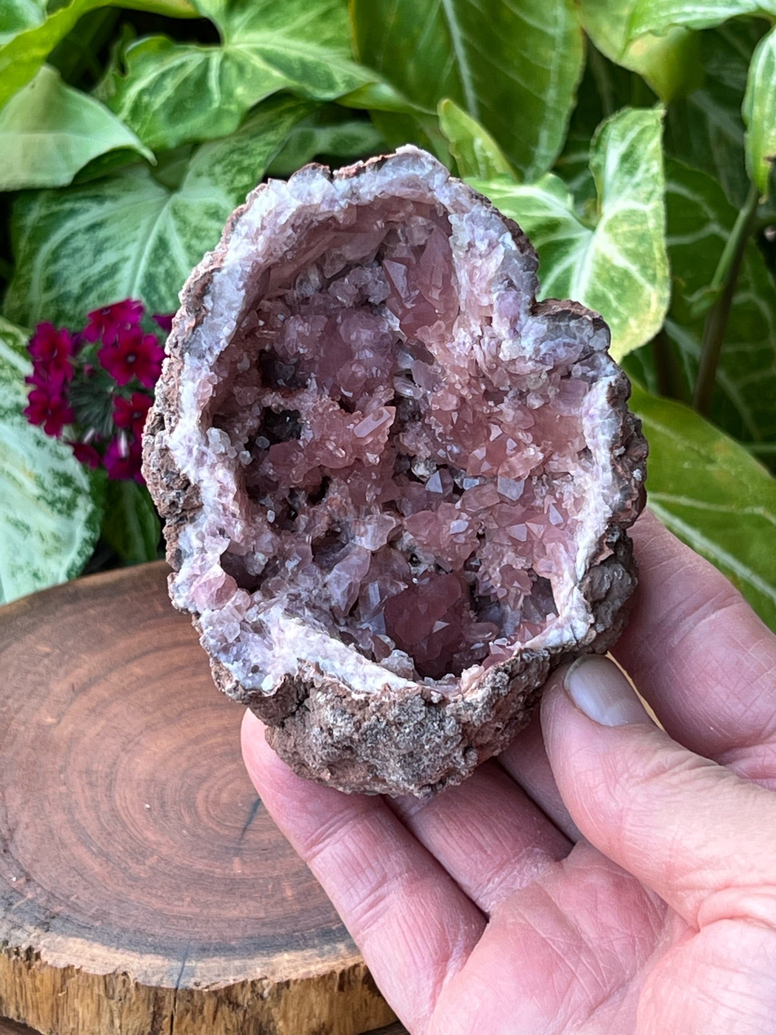 There are both satin and lustrous faces to the crystals in this specimen, on the larger prismatic and smaller secondary growth druzy-like crystals, with the highest sparkle emanating from the smaller, double terminated crystals.