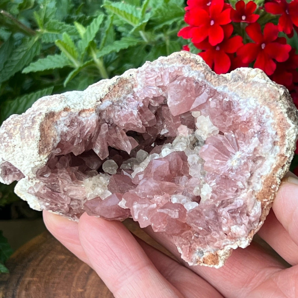 This is a beautiful, larger size, thick, lustrous, high quality Pink Amethyst Crystals Geode specimen with a fascinating dispersion of rhombic Calcite crystals across and deeper in the pocket. 