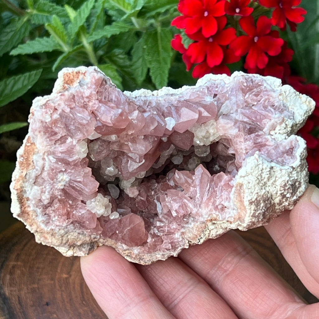 We love the cavernous structure of this beautiful Pink Amethyst Crystals Geode specimen.