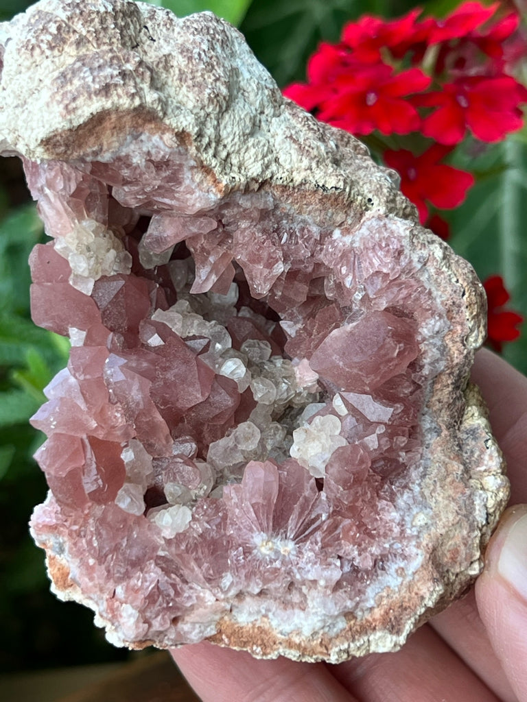 The beautiful presentation of rhombic Calcite crystals in this fine Pink Amethyst Geode specimen inspires deeper exploration of this excellent display piece.