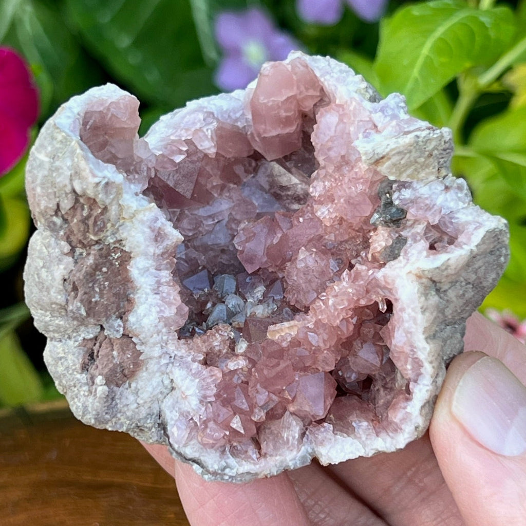 Near the wonderfully radiating rosette formation are intermingling, well formed double terminated Pink Amethyst crystals.