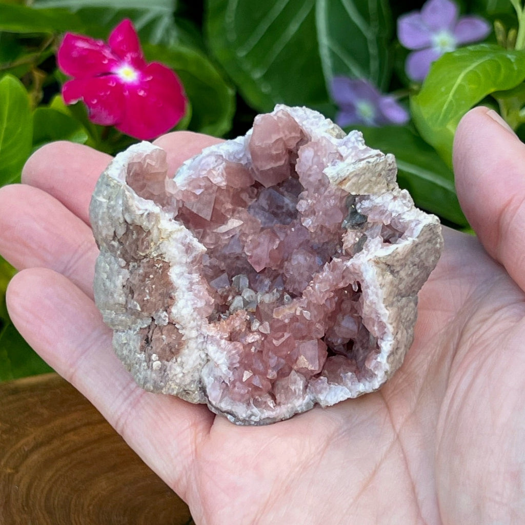 The combination of excellent deeper pink color saturation, rosette formation and double terminated crystals, elevates this Pink Amethyst Crystals geode to be a higher grade specimen.