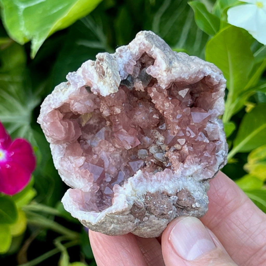 A wall or bridge-like structure of secondary growth Pink Amethyst crystals grew alongside the rosette formation, appearing to protect the rosette ball.. 