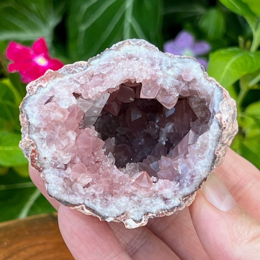 Attractive transparency and translucency is evident from the Pink Amethyst crystals in this specimen. 