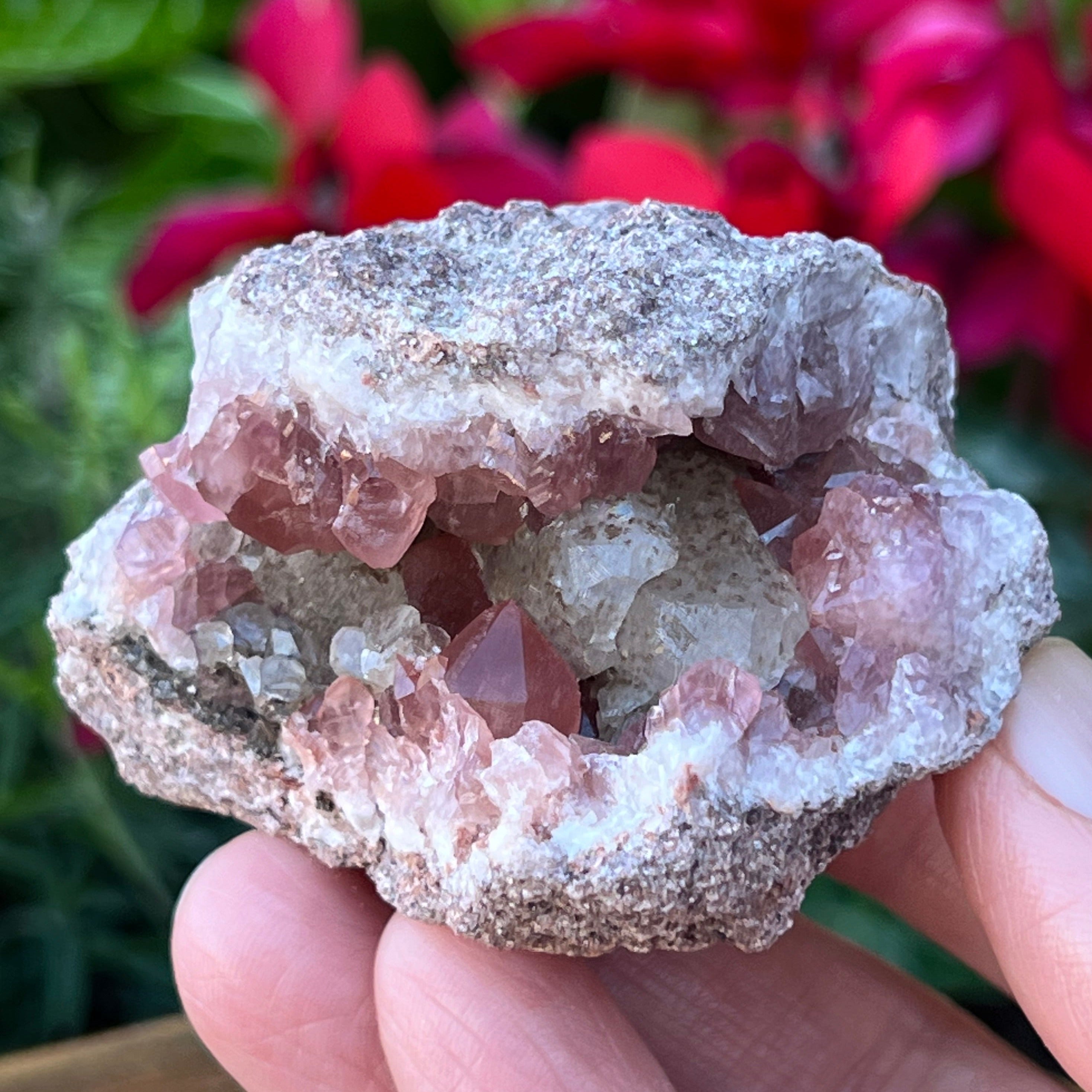 Densely packed Pink Amethyst crystals line the walls of this excellent geode specimen. Well formed, the Calcite crystals exhibit wonderfully with scattered, sort of spotted with interesting manganese over their surfaces.