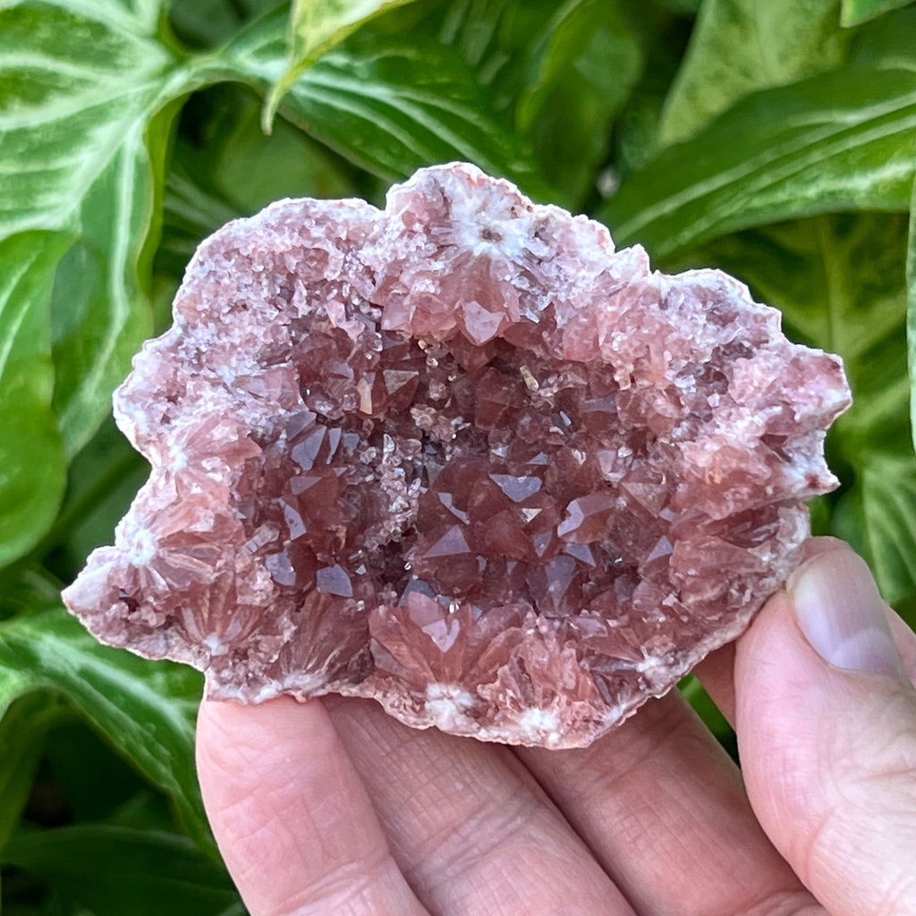 This is a very lustrous, beautiful, quality, Pink Amethyst Crystals Geode specimen with excellent darker pink color. 
