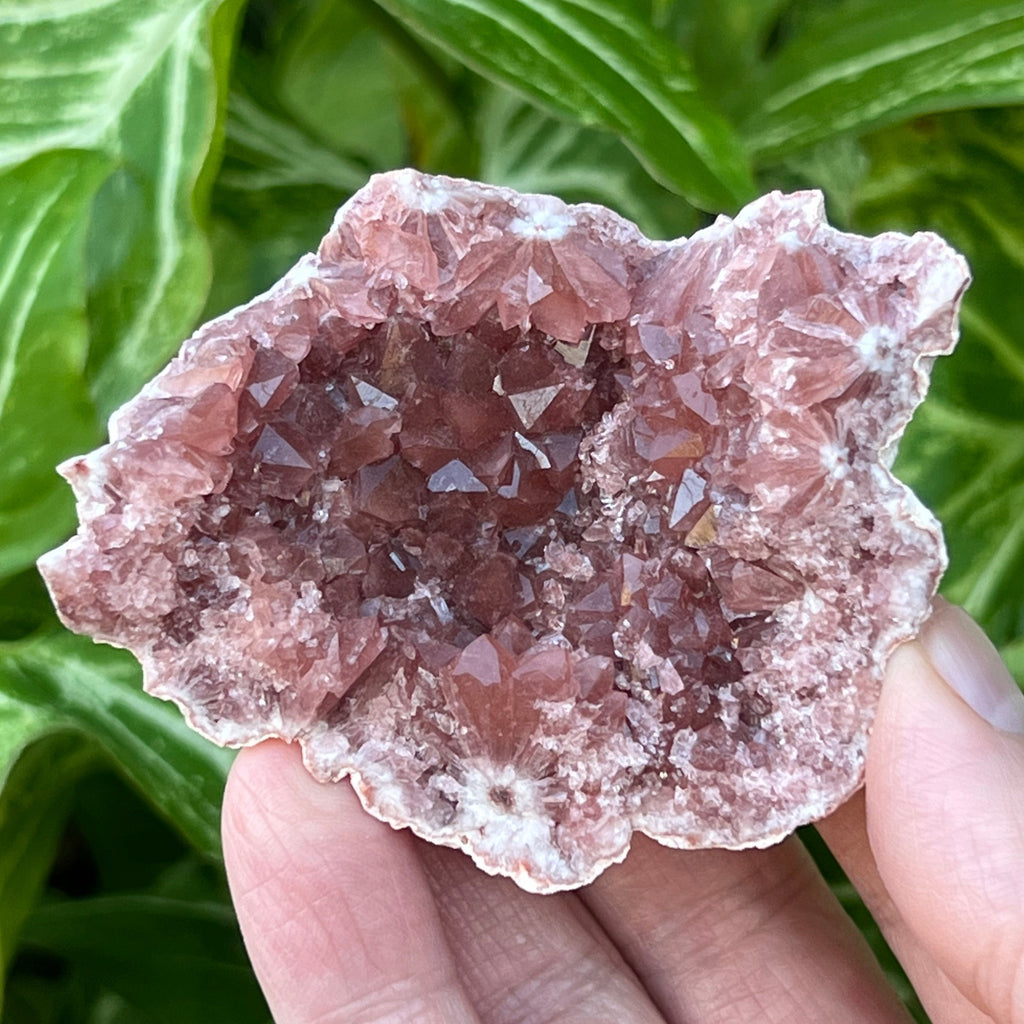The Pink Amethyst crystals that cling closely to the base of this geode present with an almost juicy quality. 