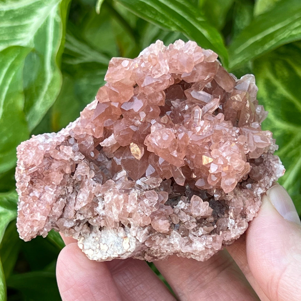 This is a sensational, lustrous, quality, Pink Amethyst Crystals Geode specimen with numerous, well formed transparent and translucent double terminated crystals.
