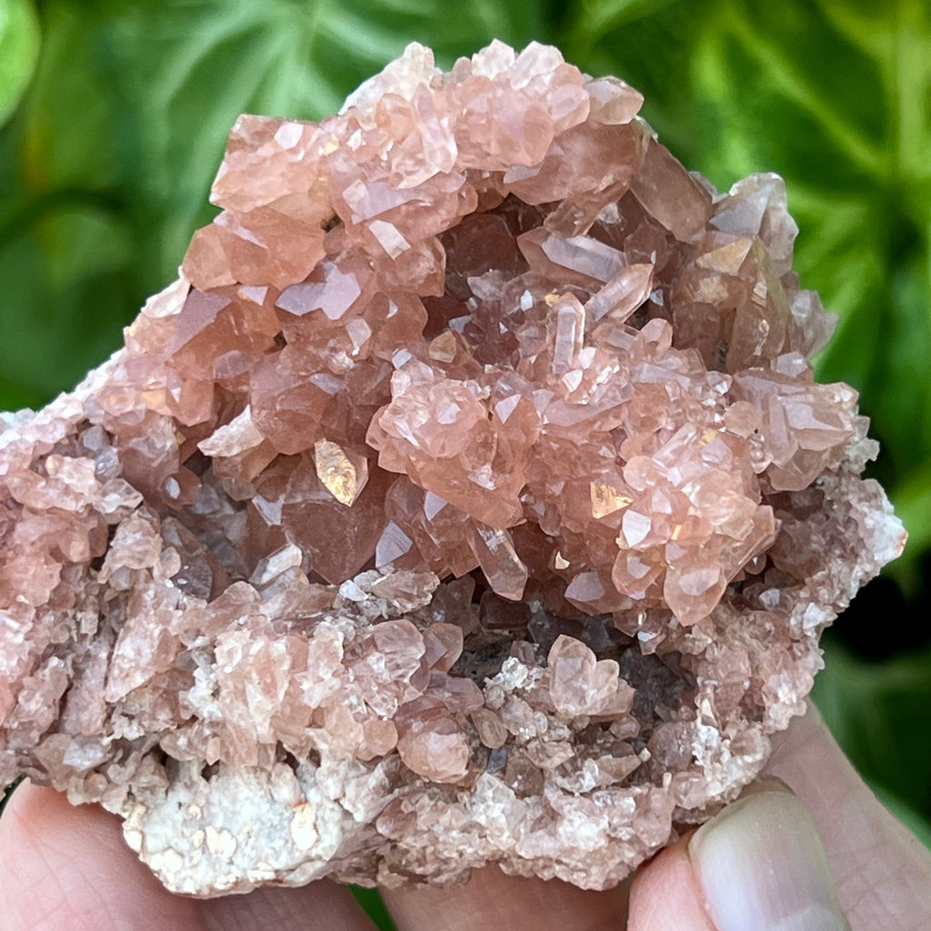 The darker pink crystals presenting in the beautiful Pink Amethyst Crystals Geode are representative of higher quality Pink Amethyst.