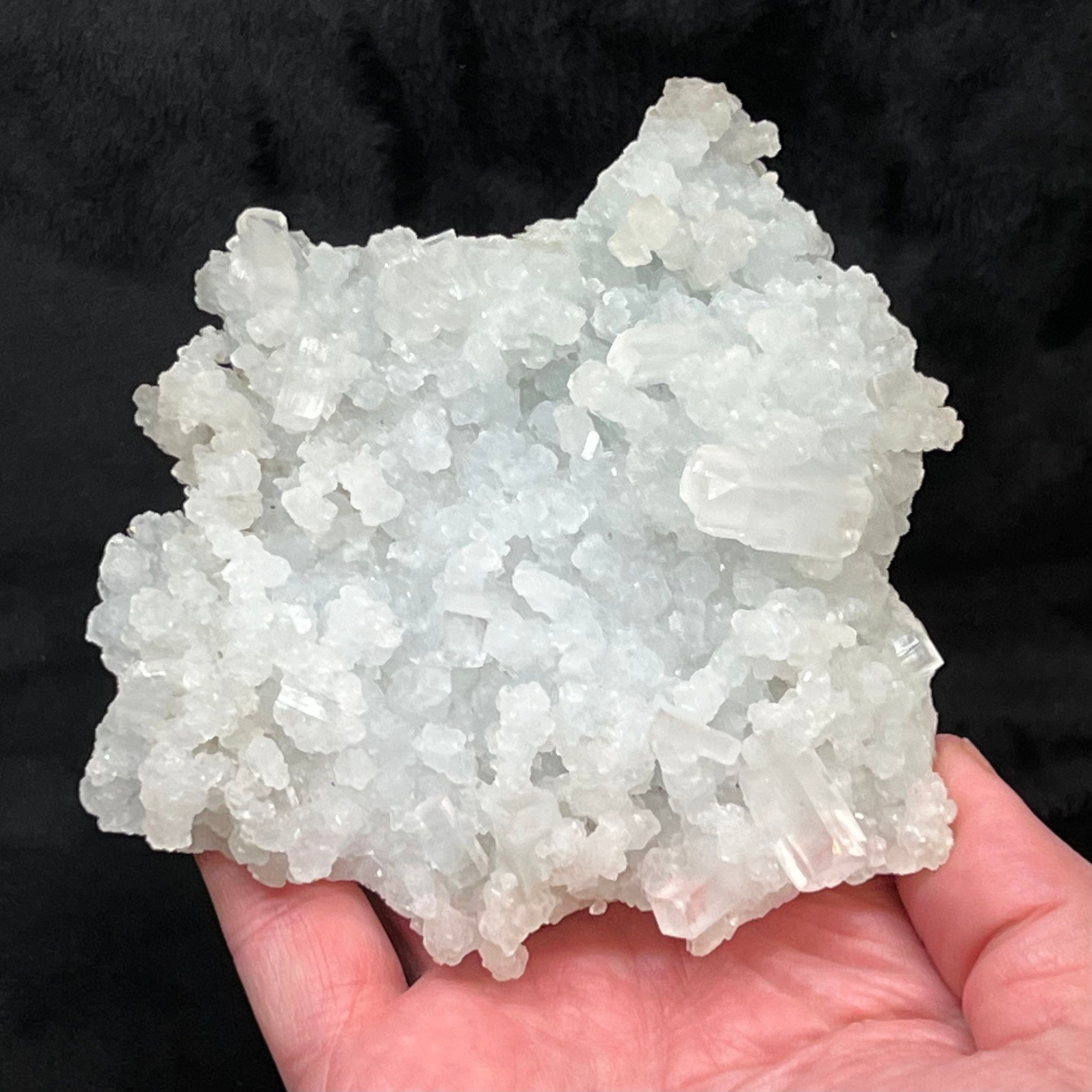 This specimen is an excellent example of crystallized Prehnite replaced prismatic crystals that were once Laumontite.