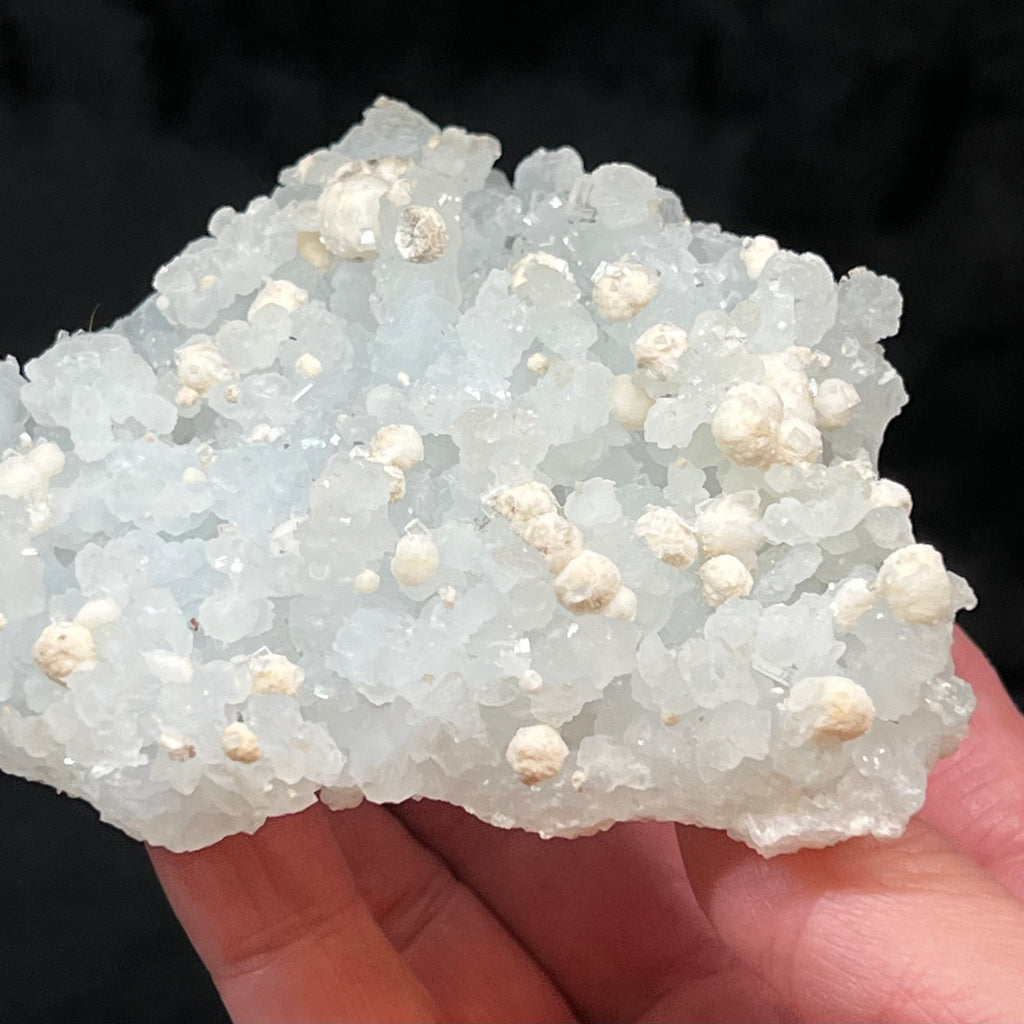 This Prehnite pseudomorph after Laumontite specimen with Gyrolite ball-like crystals features fascinating finger-like stalks, some stalactite-like, of pale, light blue-green Prehnite.  