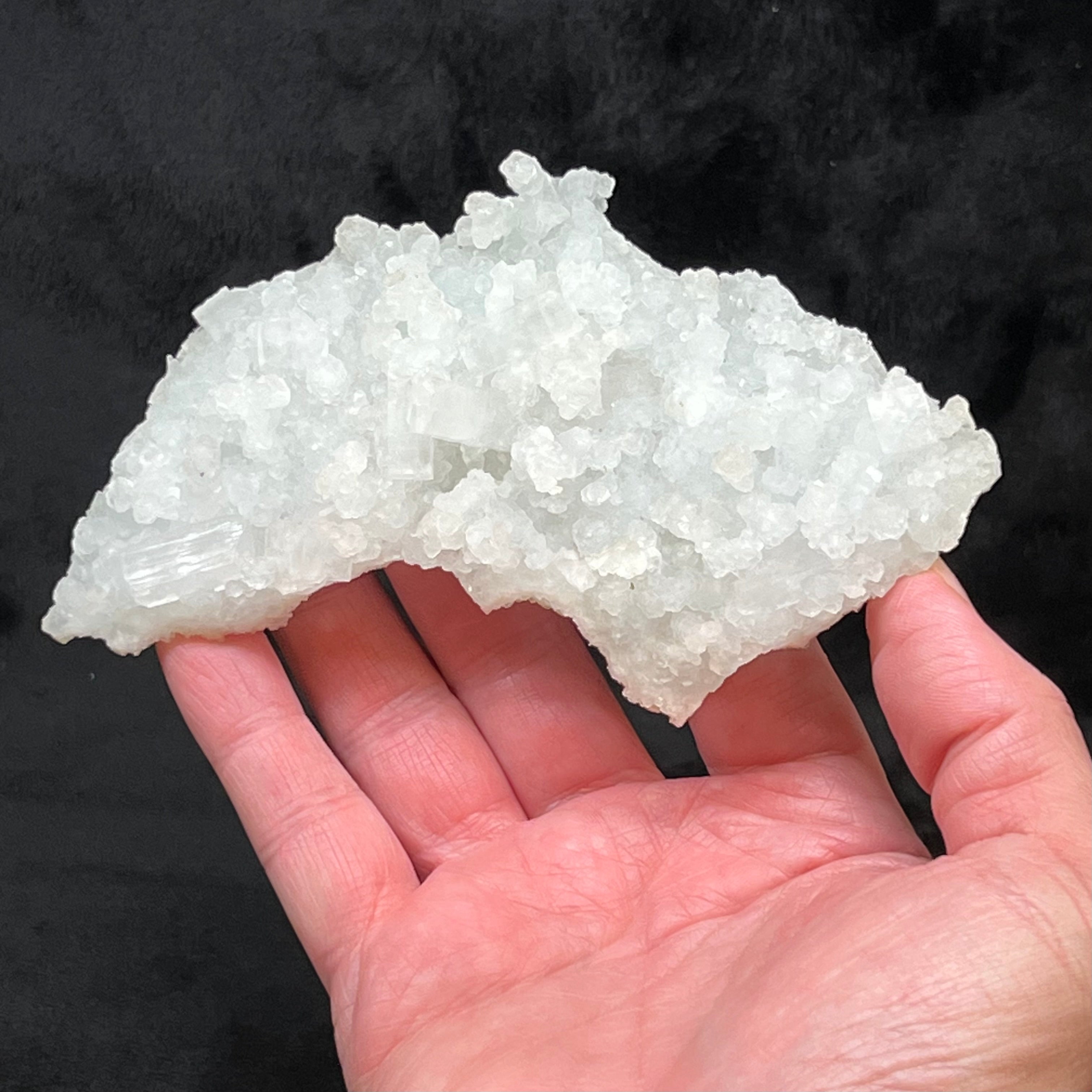 This is an excellent, large Prehnite pseudomorph after Laumontite specimen with lustrous, transparent and translucent, rectangular Apophyllite crystals.