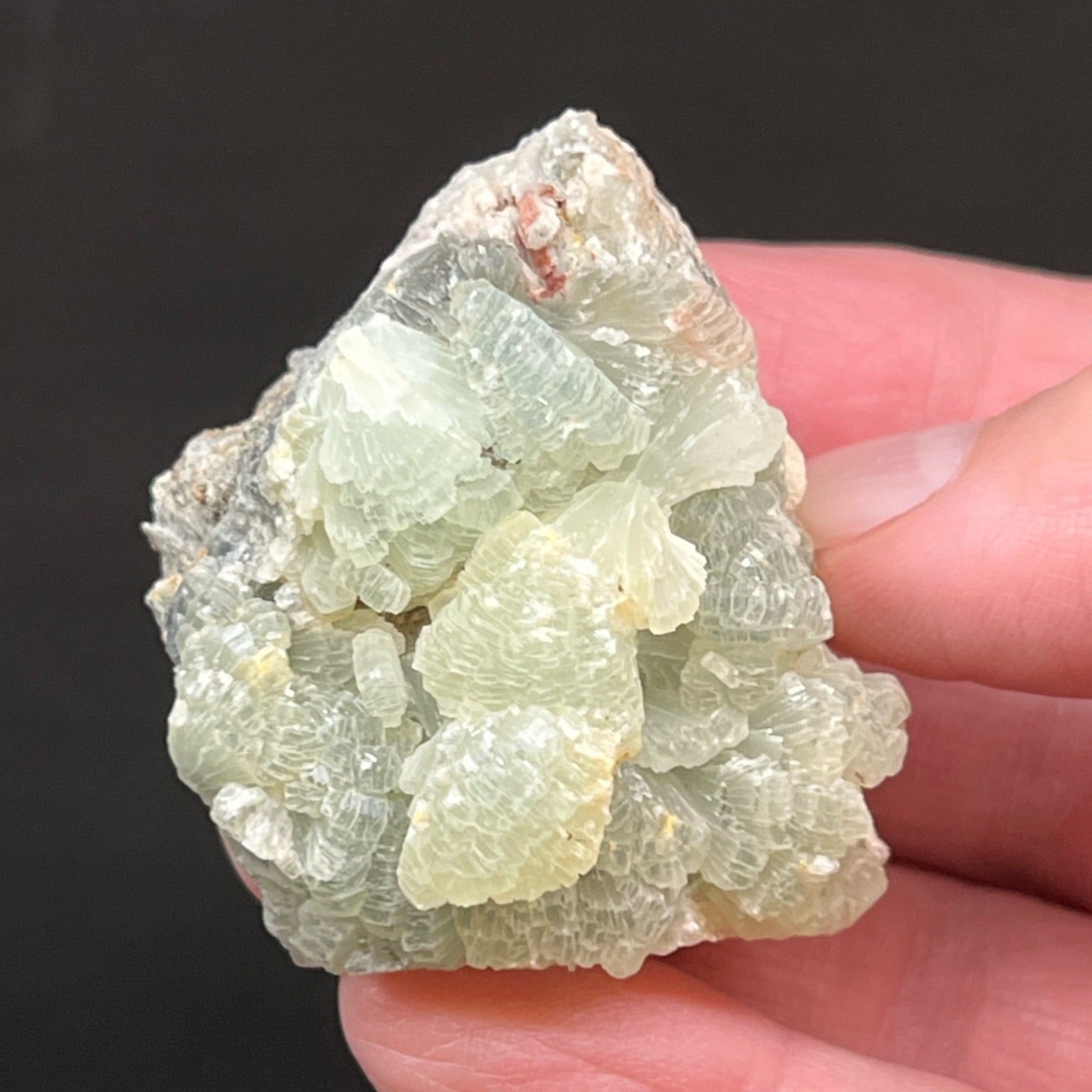 This is a primarily light green, with hints of yellow, lustrous Prehnite specimen that finely presents the characteristic botryoidal clusters of bowtie and fanning, striated and segmented crystals from Morocco.